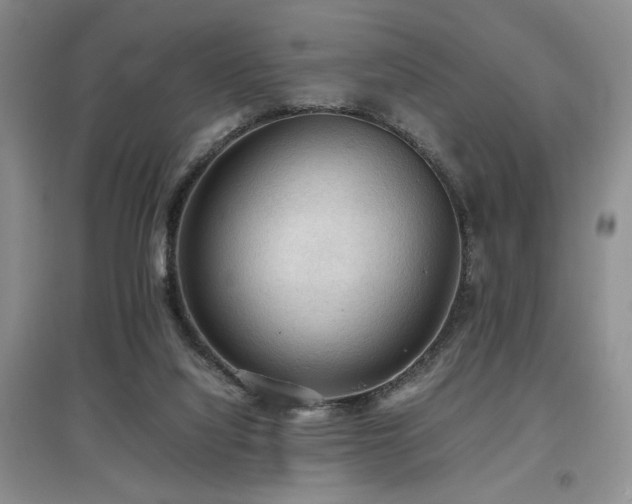 X0000097660068200802291436