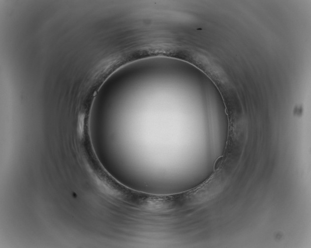 X0000097660070200802291436