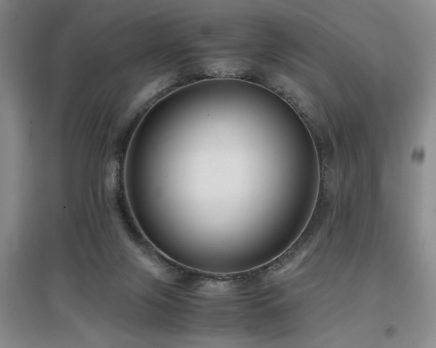 X0000097660071200802291436