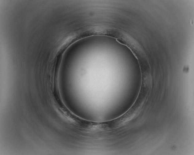 X0000097660072200802291436