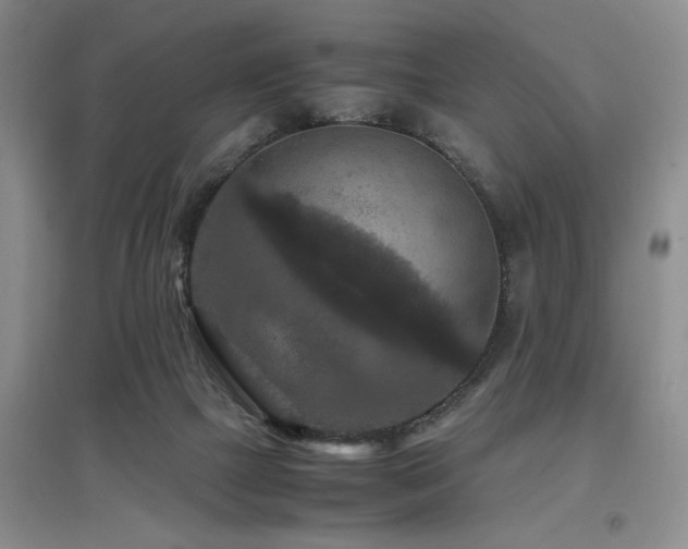 X0000097660073200802291436