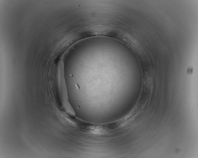 X0000097660074200802291436