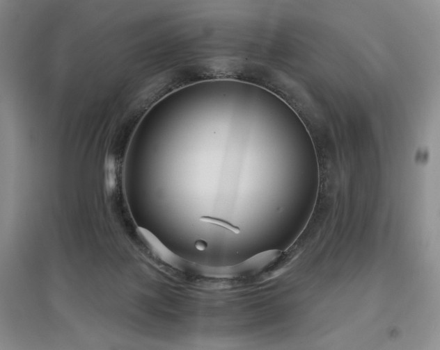 X0000097660075200802291436
