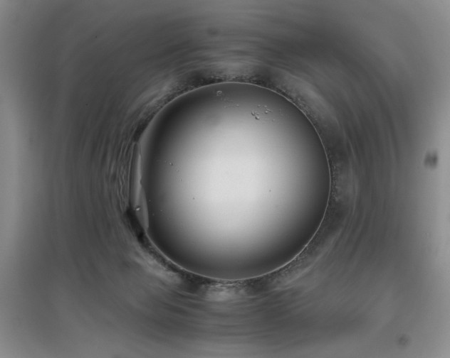 X0000097660077200802291437