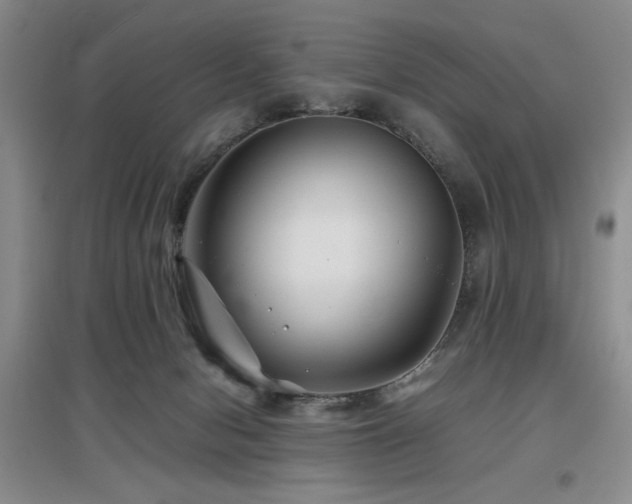 X0000097660078200802291437