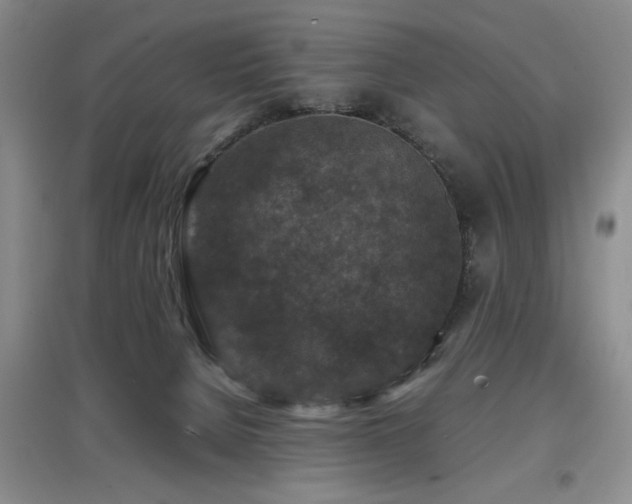 X0000097660080200802291437