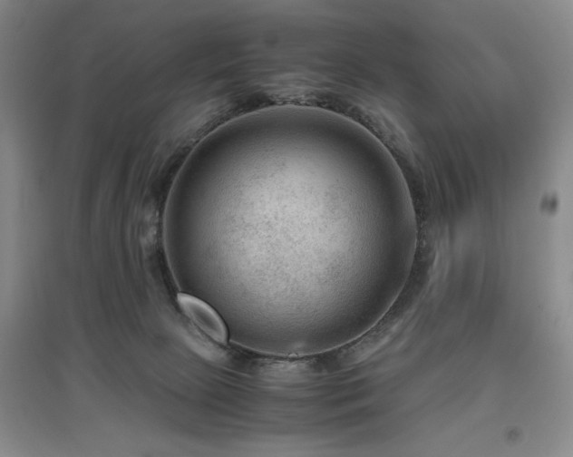 X0000097660081200802291437