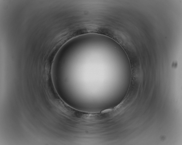 X0000097660082200802291437