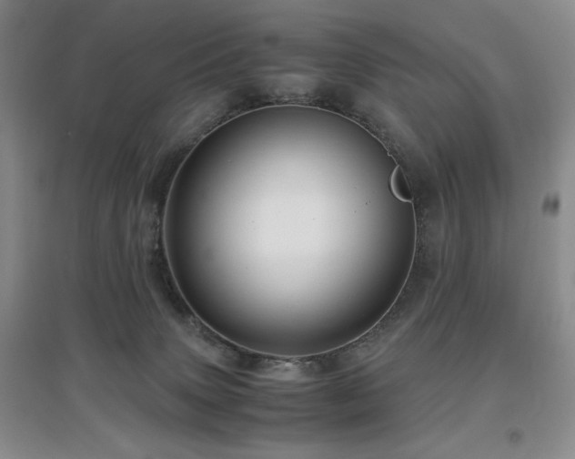 X0000097660083200802291437