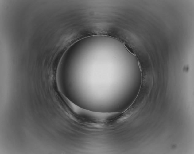X0000097660084200802291437