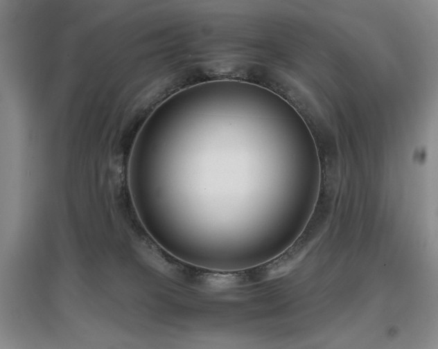X0000097660085200802291437