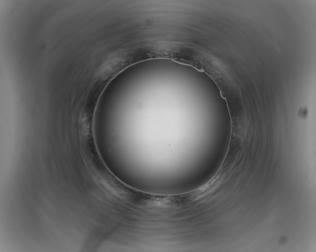 X0000097660086200802291437
