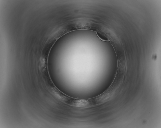 X0000097660087200802291437