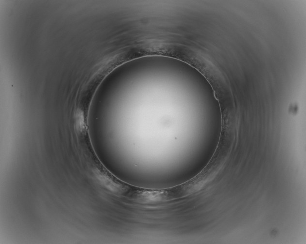 X0000097660089200802291437