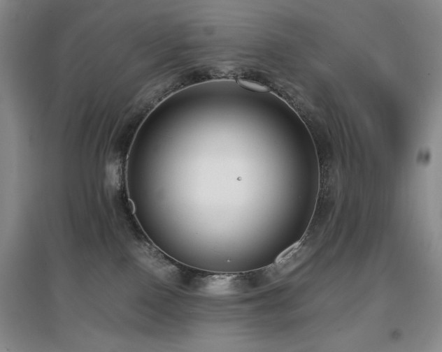 X0000097660090200802291437
