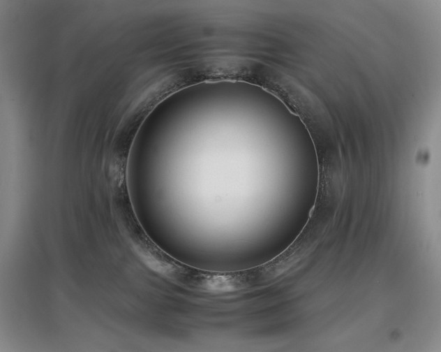 X0000097660091200802291437