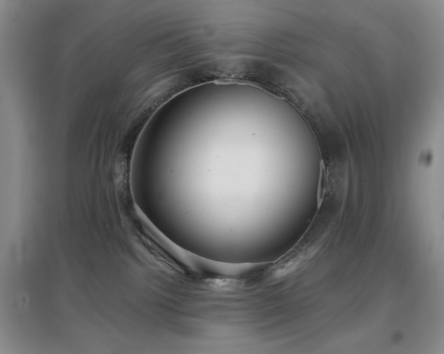 X0000097660092200802291437