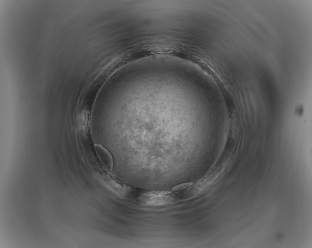 X0000097660093200802291437