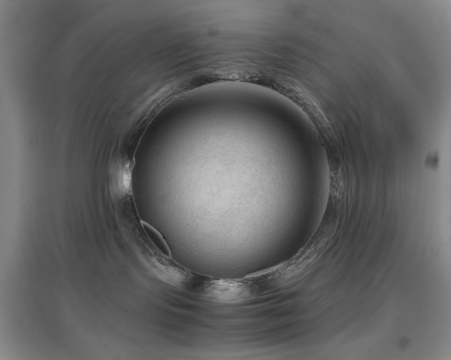 X0000097660095200802291437
