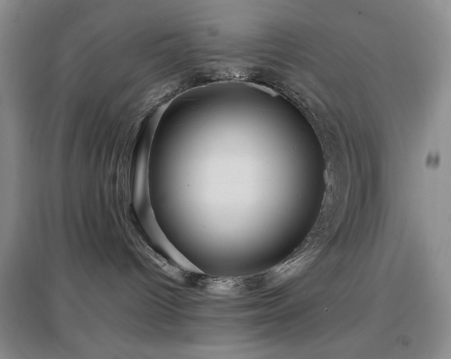 X0000097660096200802291437