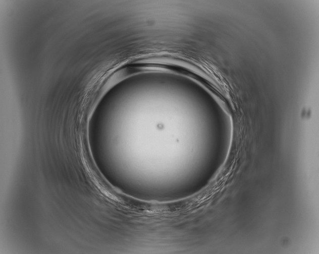 X0000097660097200802291436