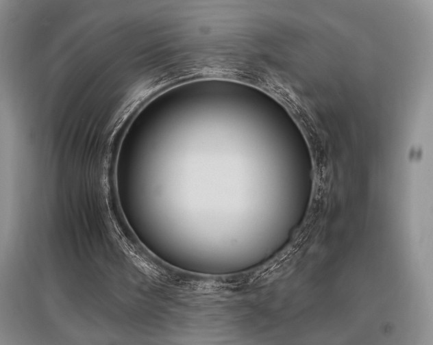 X0000097660098200802291436