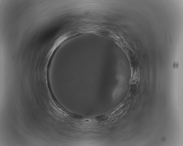 X0000097660099200802291436