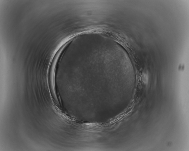 X0000097660100200802291436