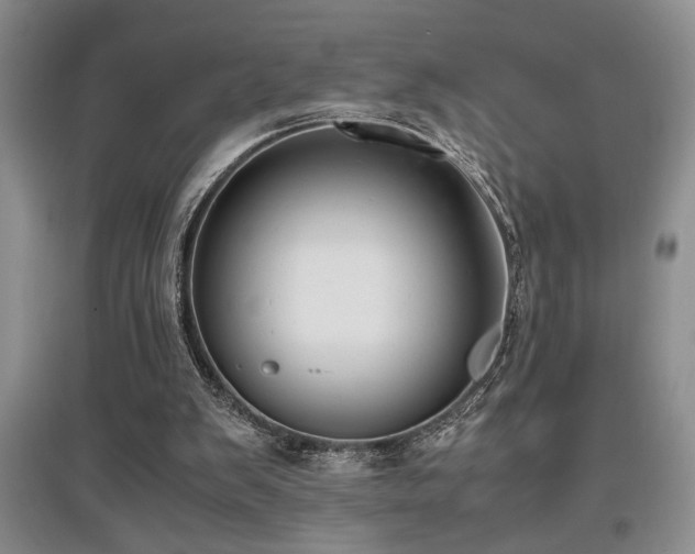 X0000097660103200802291436