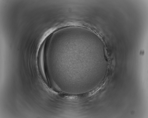 X0000097660104200802291436