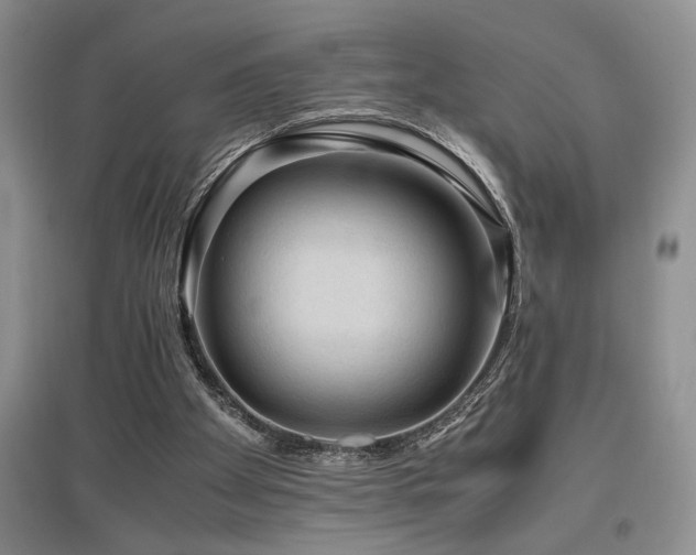 X0000097660105200802291436