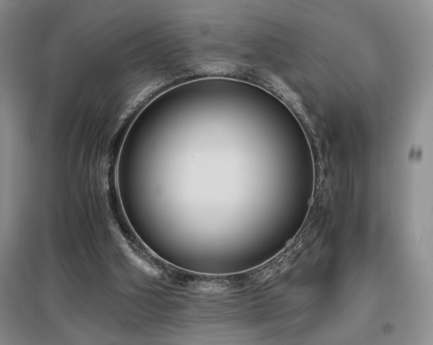 X0000097660106200802291436