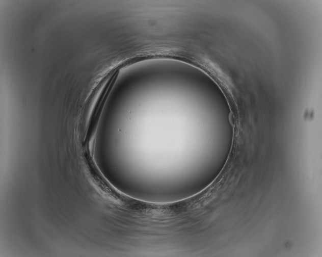 X0000097660107200802291436