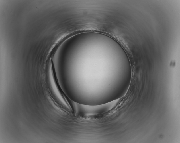 X0000097660108200802291436