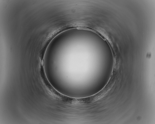 X0000097660109200802291436