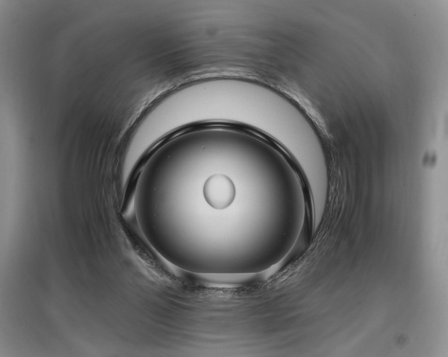 X0000097660110200802291436