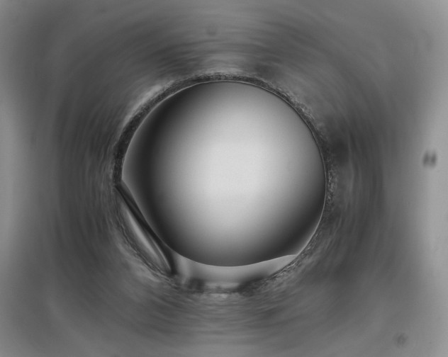 X0000097660112200802291436