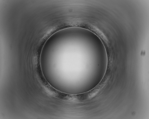 X0000097660113200802291436
