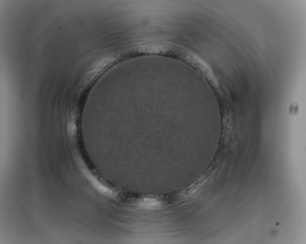 X0000097660114200802291436