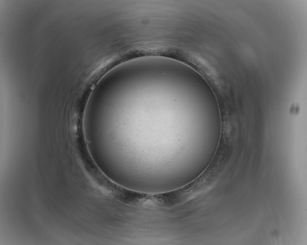 X0000097660115200802291436