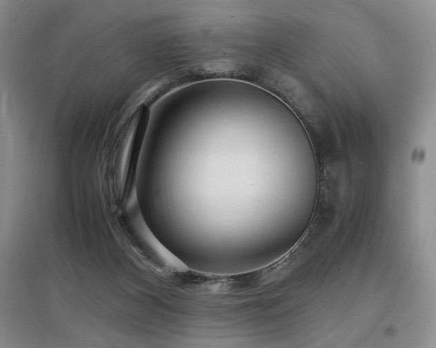 X0000097660116200802291436