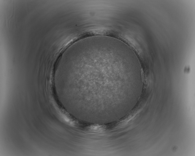 X0000097660117200802291436