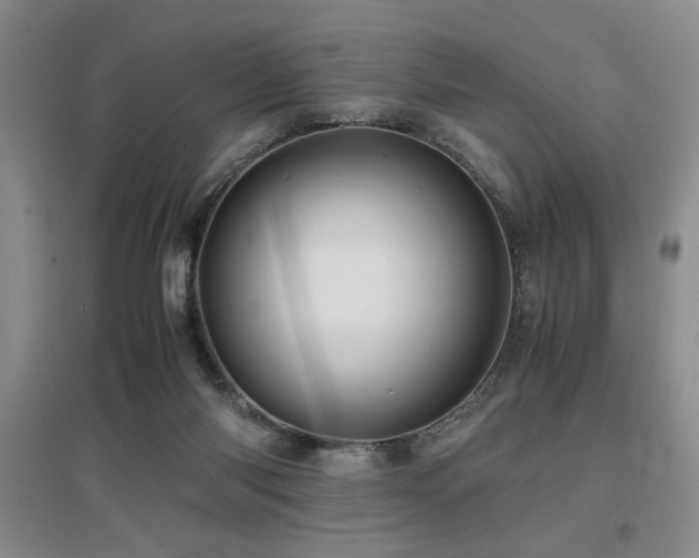 X0000097660118200802291436