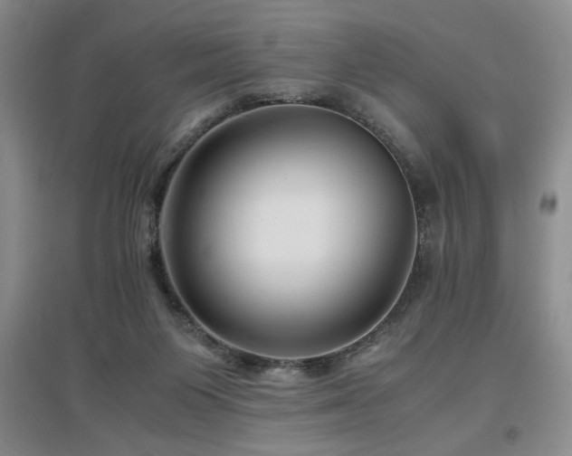 X0000097660119200802291436