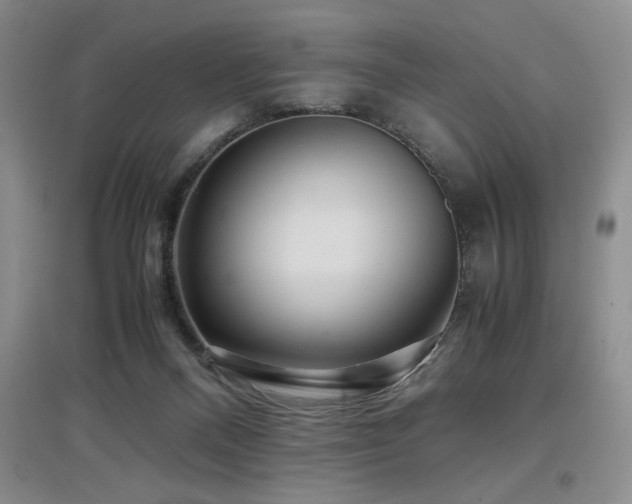 X0000097660120200802291436