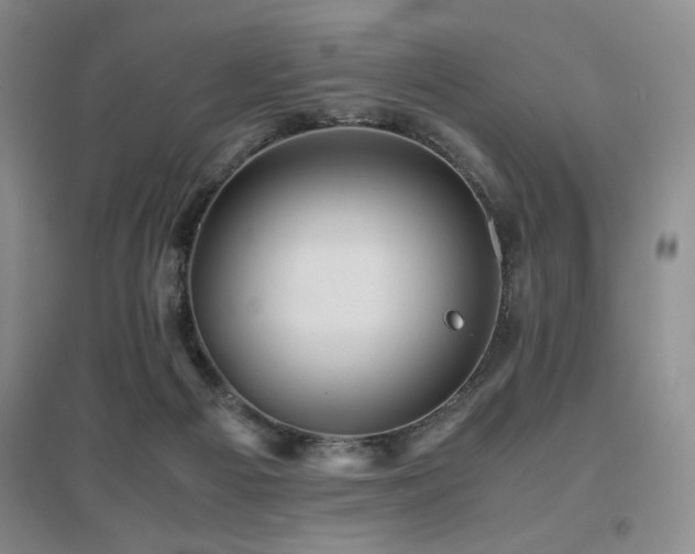 X0000097660121200802291436