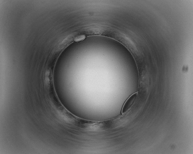 X0000097660122200802291436