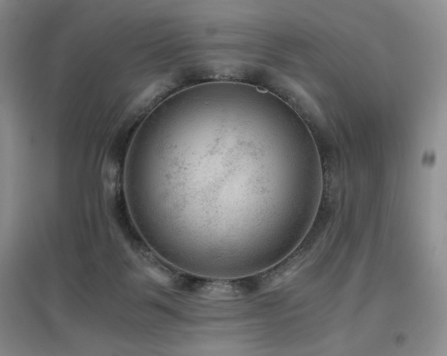 X0000097660123200802291436