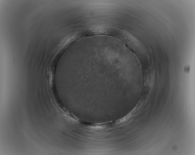 X0000097660124200802291436
