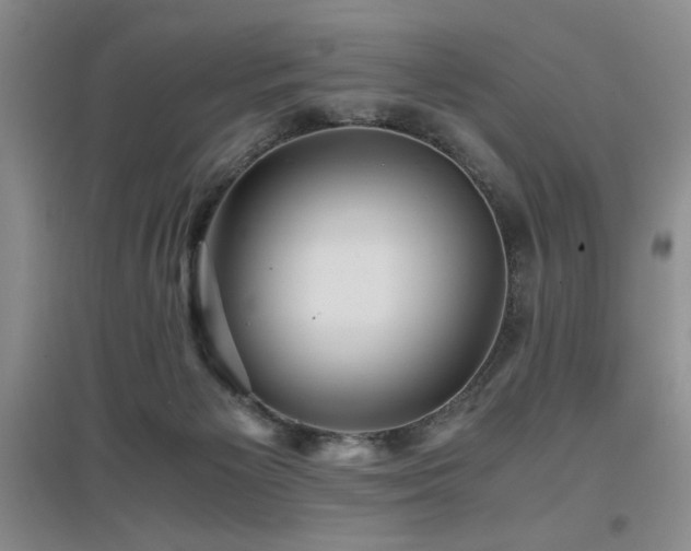 X0000097660125200802291436